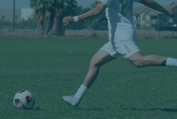 P visa document representing temporary U.S. work authorization for internationally recognized athletes, entertainers or artists.