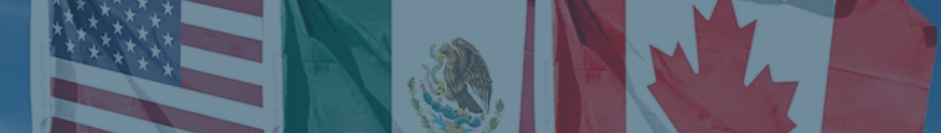 United States, Mexico and Canada flags representing TN visa eligibility under the USMCA agreement.