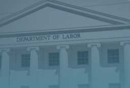 The DOL has updated prevailing wage determination (PWD) and permanent labor certification (PERM) processing times.     